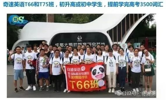 图片上传成功